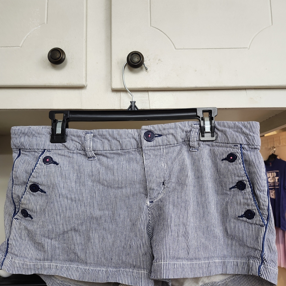 American Eagle Outfitters Blue Striped Jean Shorts